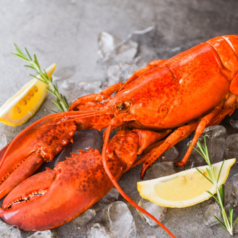 Produto lagosta